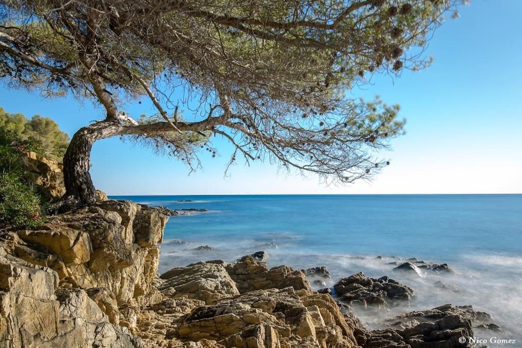 Roquebrune-Sur-Argens, Villa 2 Pieces, 4 Personnes Luaran gambar